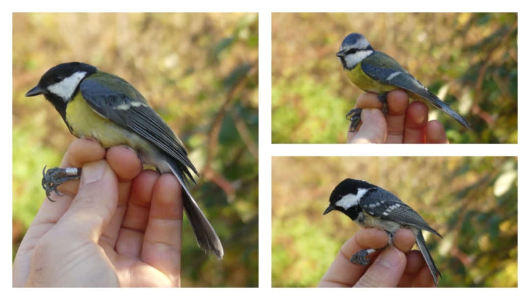 31660242 efa3 4ee6 915e 2b6ce40b4ebc