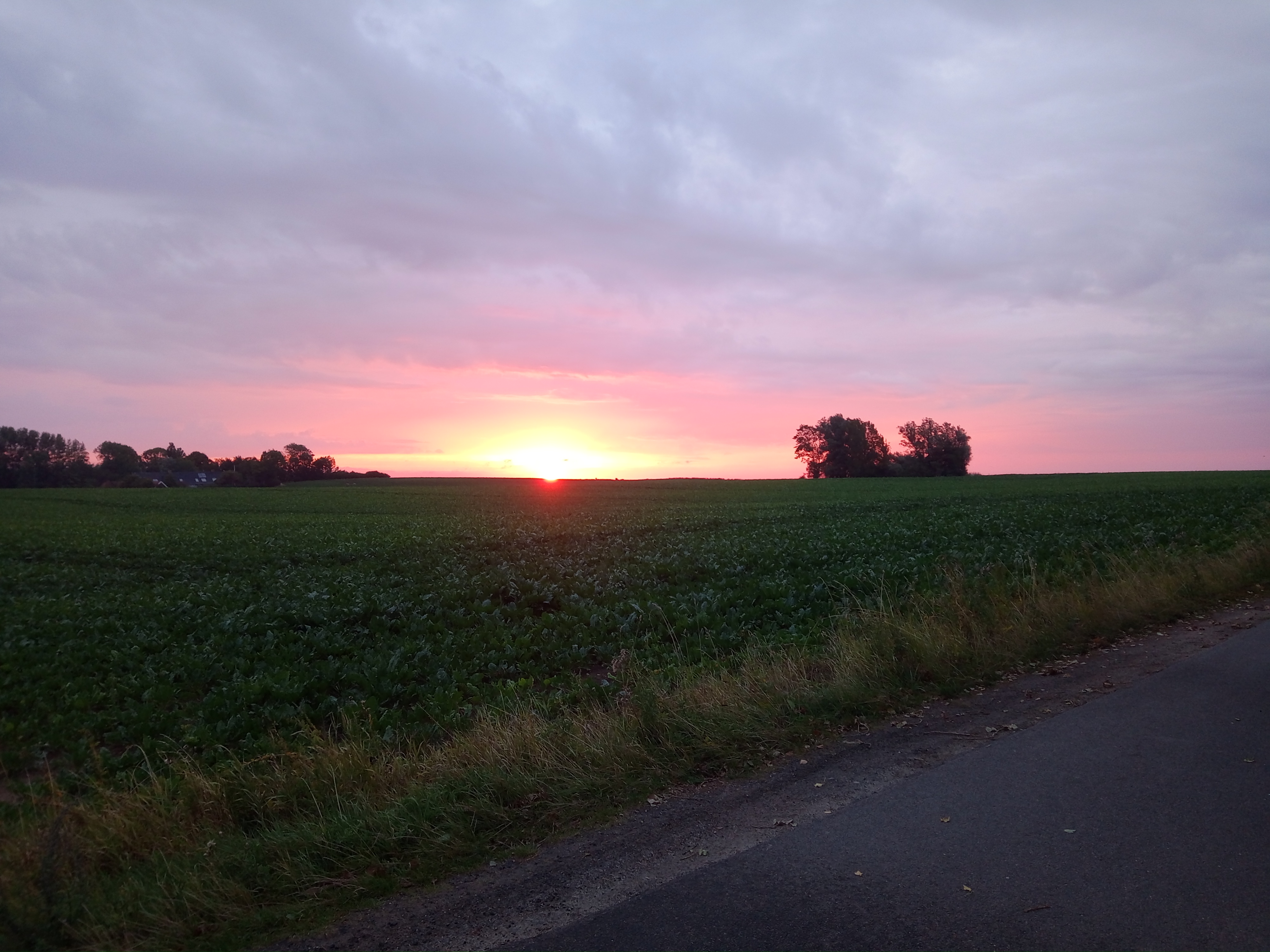IMG 20260903 062726
