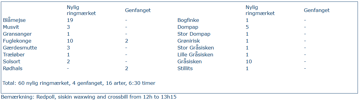 Skærmbillede 2025 11 05 194853