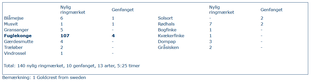 Skærmbillede 2025 11 07 180353