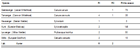 Skærmbillede_2026-05-09_110241.png