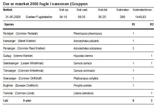 Skærmbillede 2026 05 31 104803
