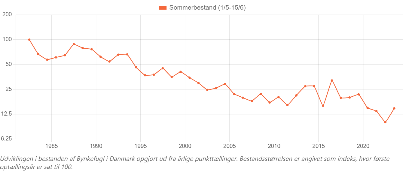 Bynkefugl bestand