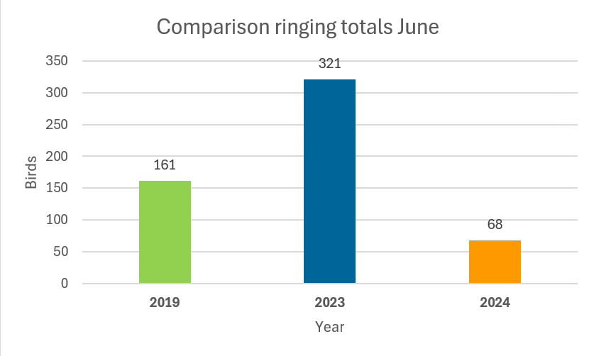 Comparison_ringing_totals_June.png