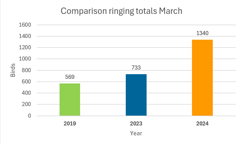 Comparison_ringing_totals_March.png