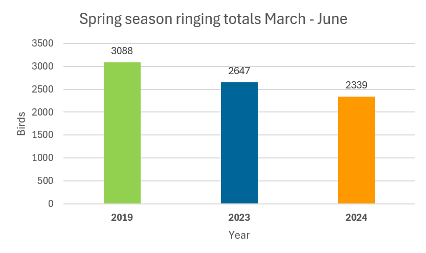 Comparison_ringing_totals_March_to_June.png