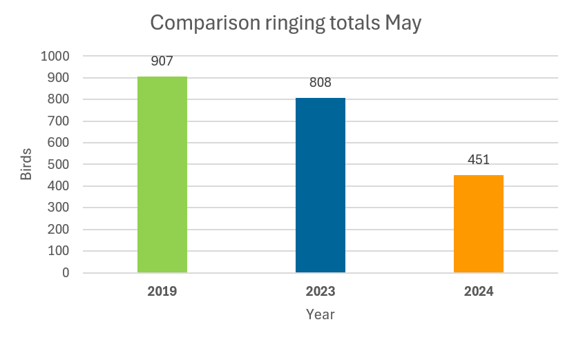 Comparison_ringing_totals_May.png