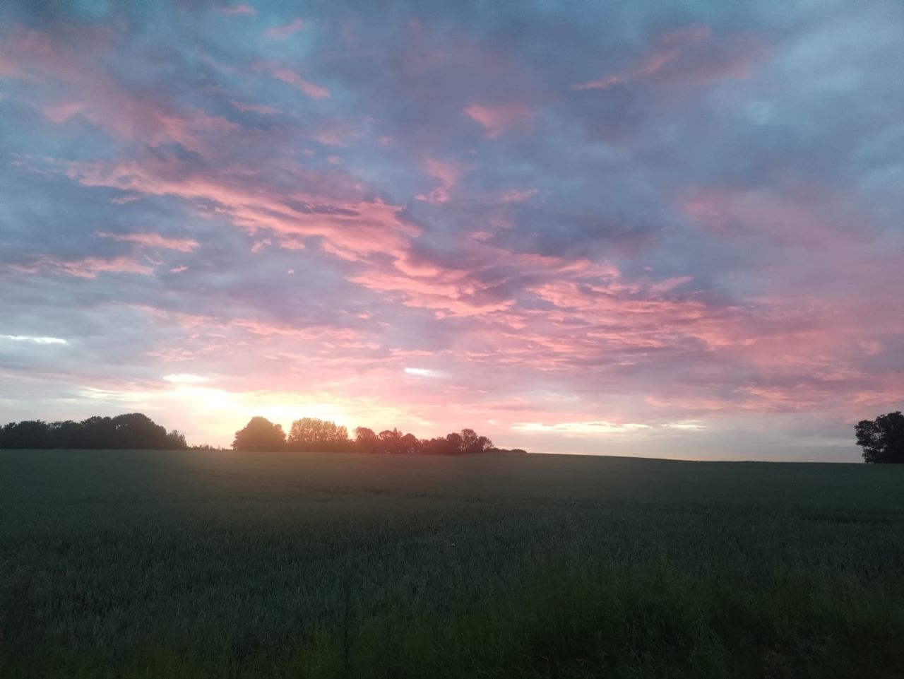 Sunrise_over_fields.jpg