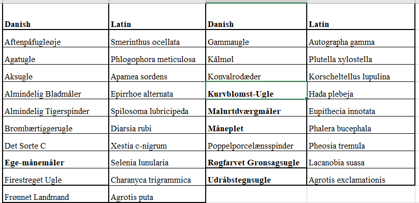 moths 25mei