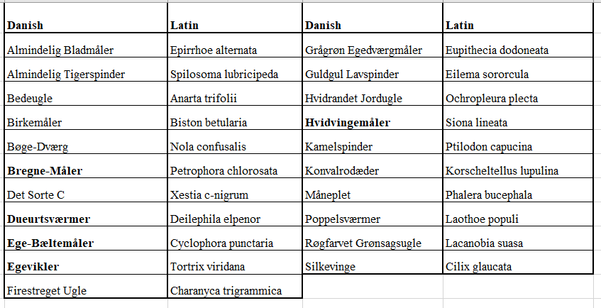 moths 28mei